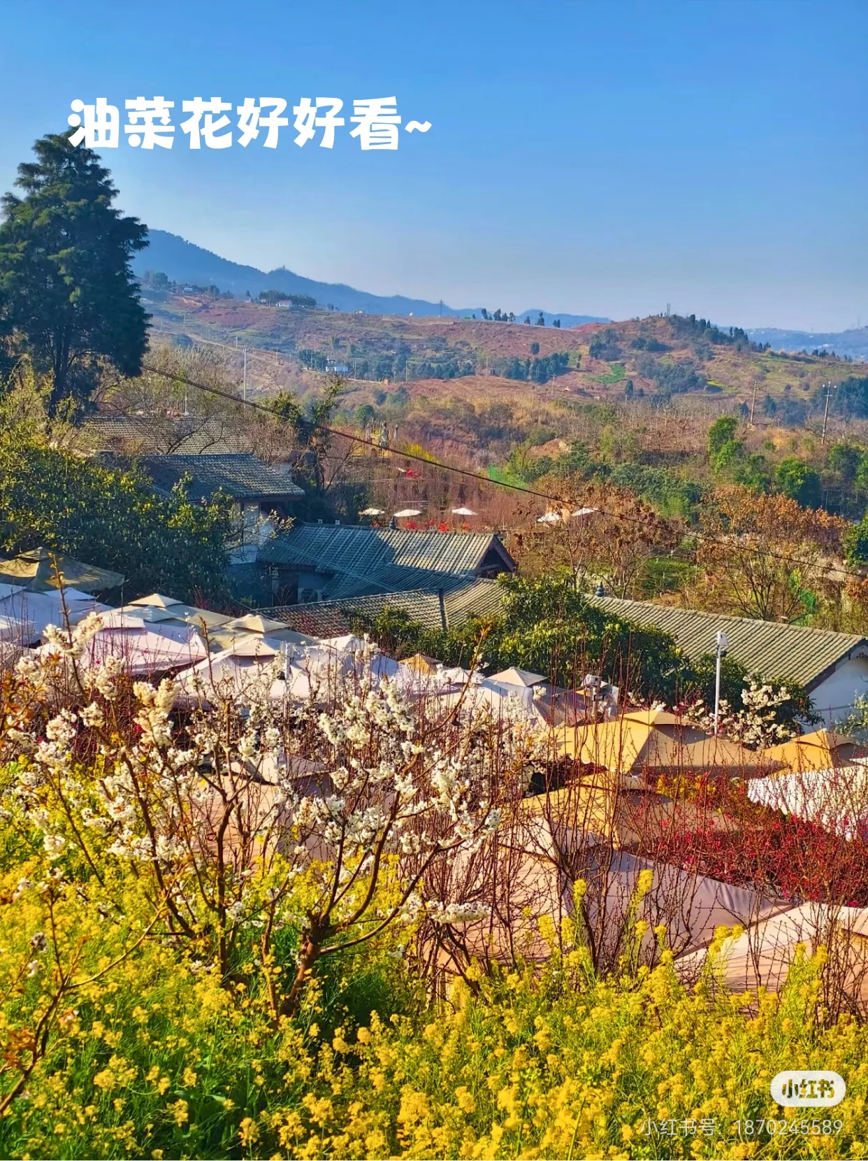 户外与自然环境