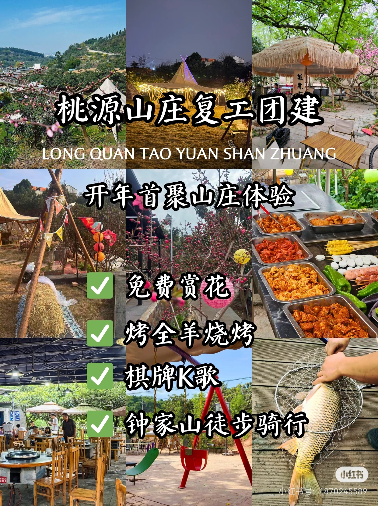 柴火鸡与娱乐项目