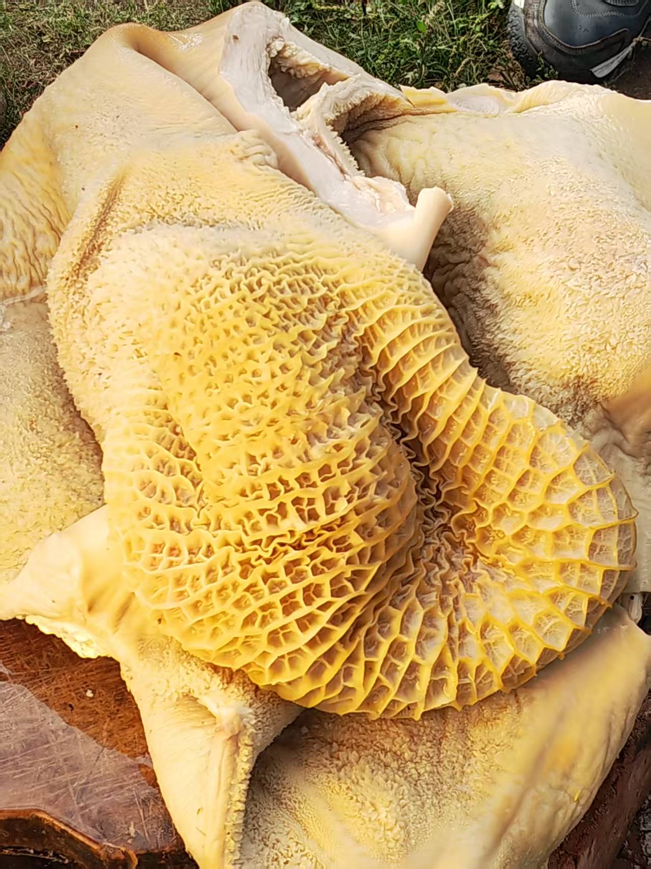 和记涮牛肚门店