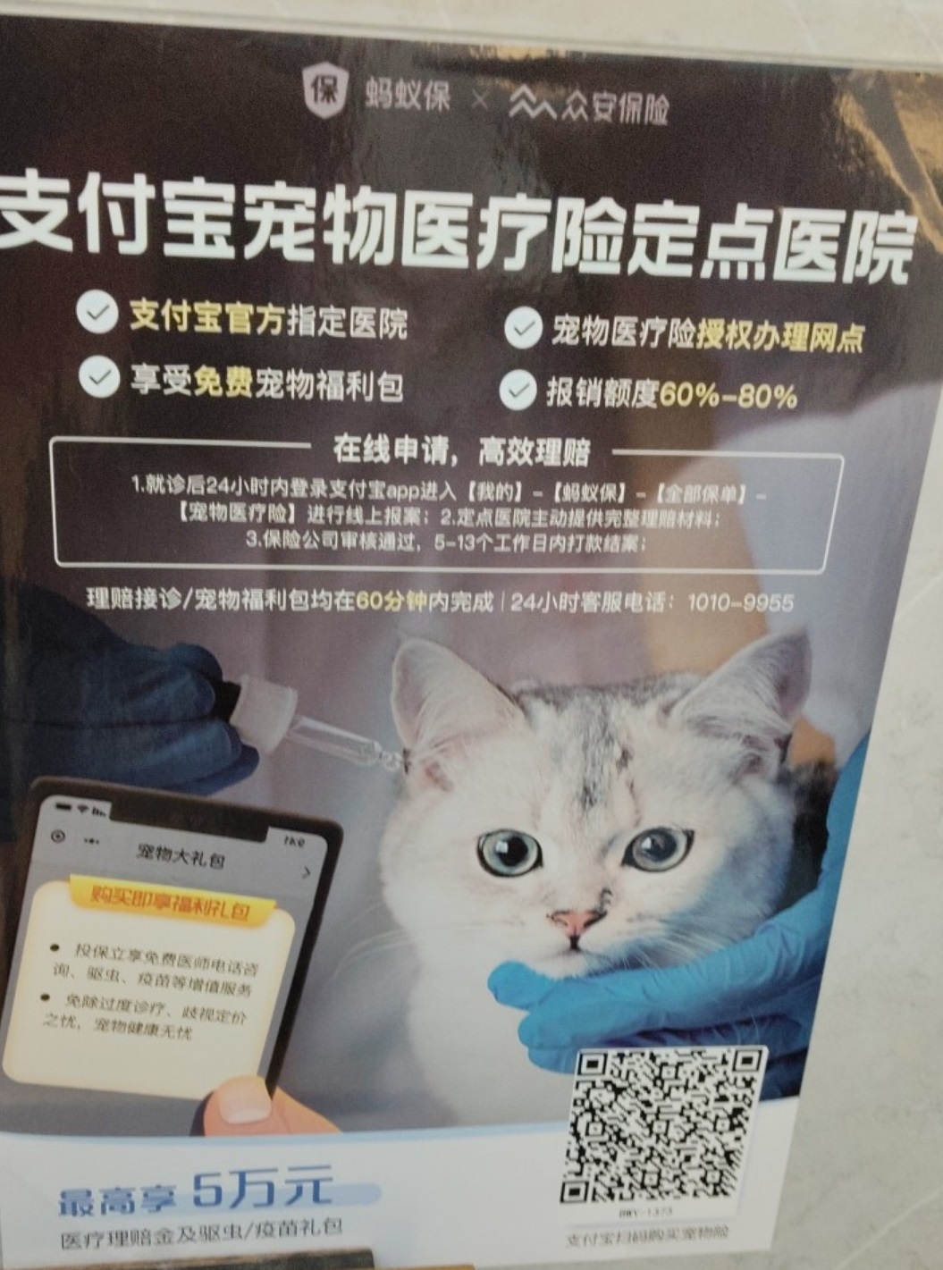 宠物住院部或温馨的寄养区环境