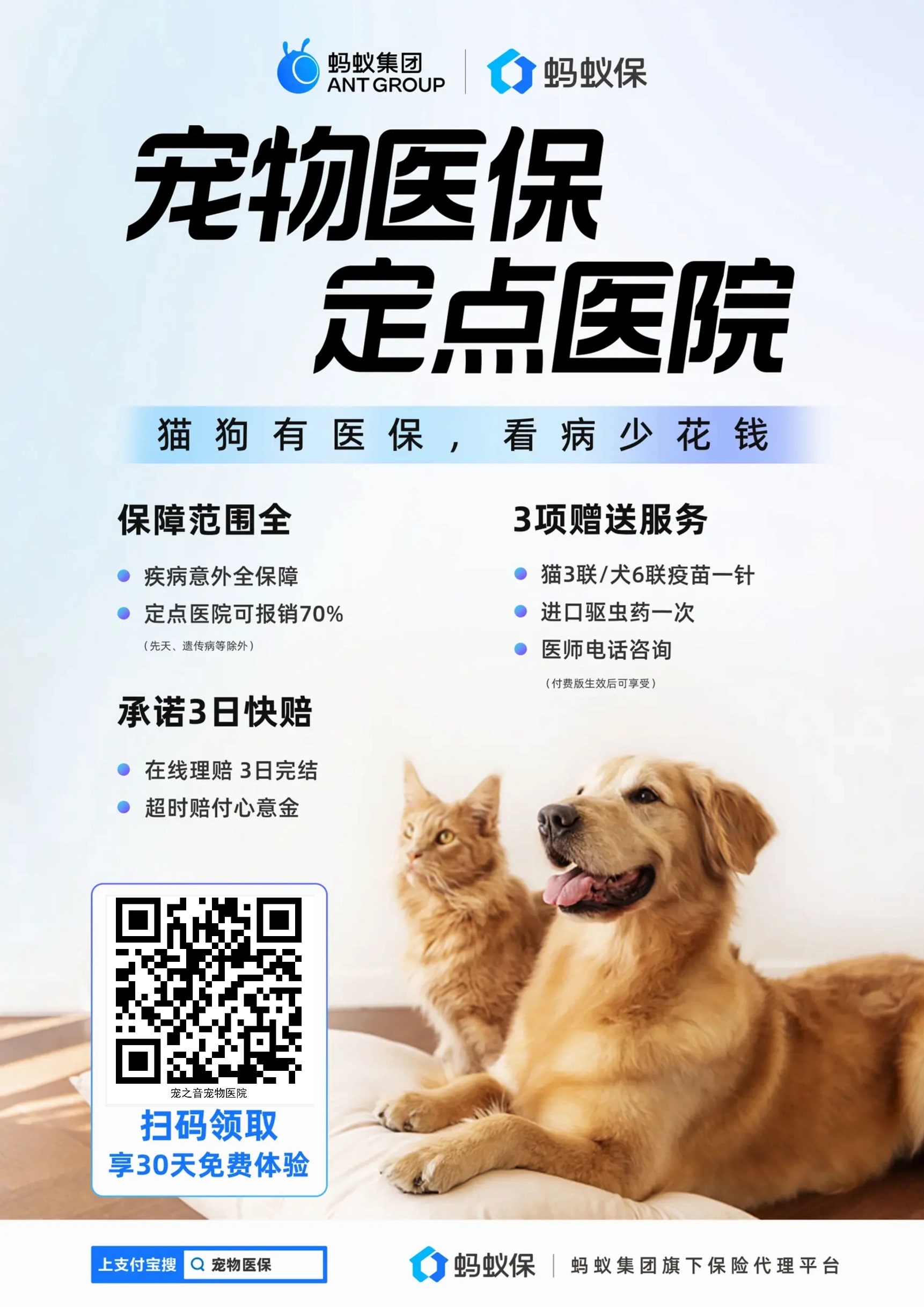 小狗寄养环境示意图