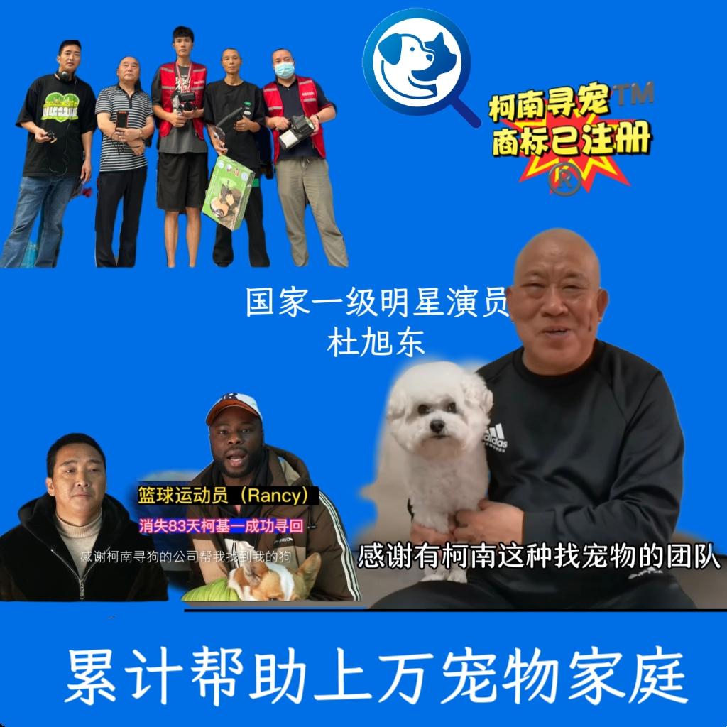 热成像夜间寻宠作业示意