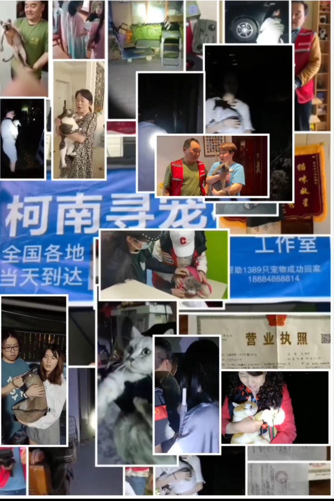 市场分析示意图