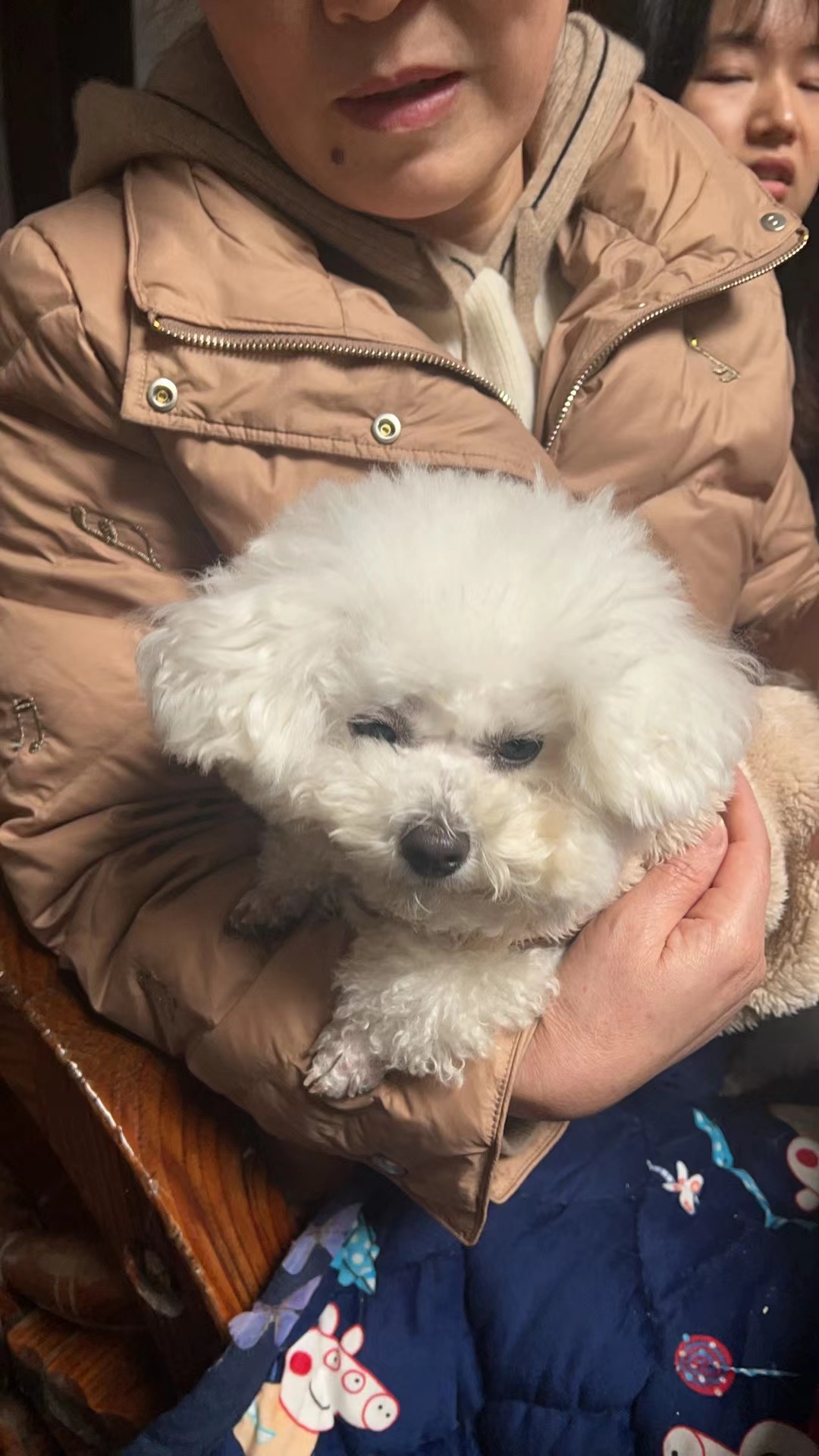 成功寻回后的人宠温情瞬间