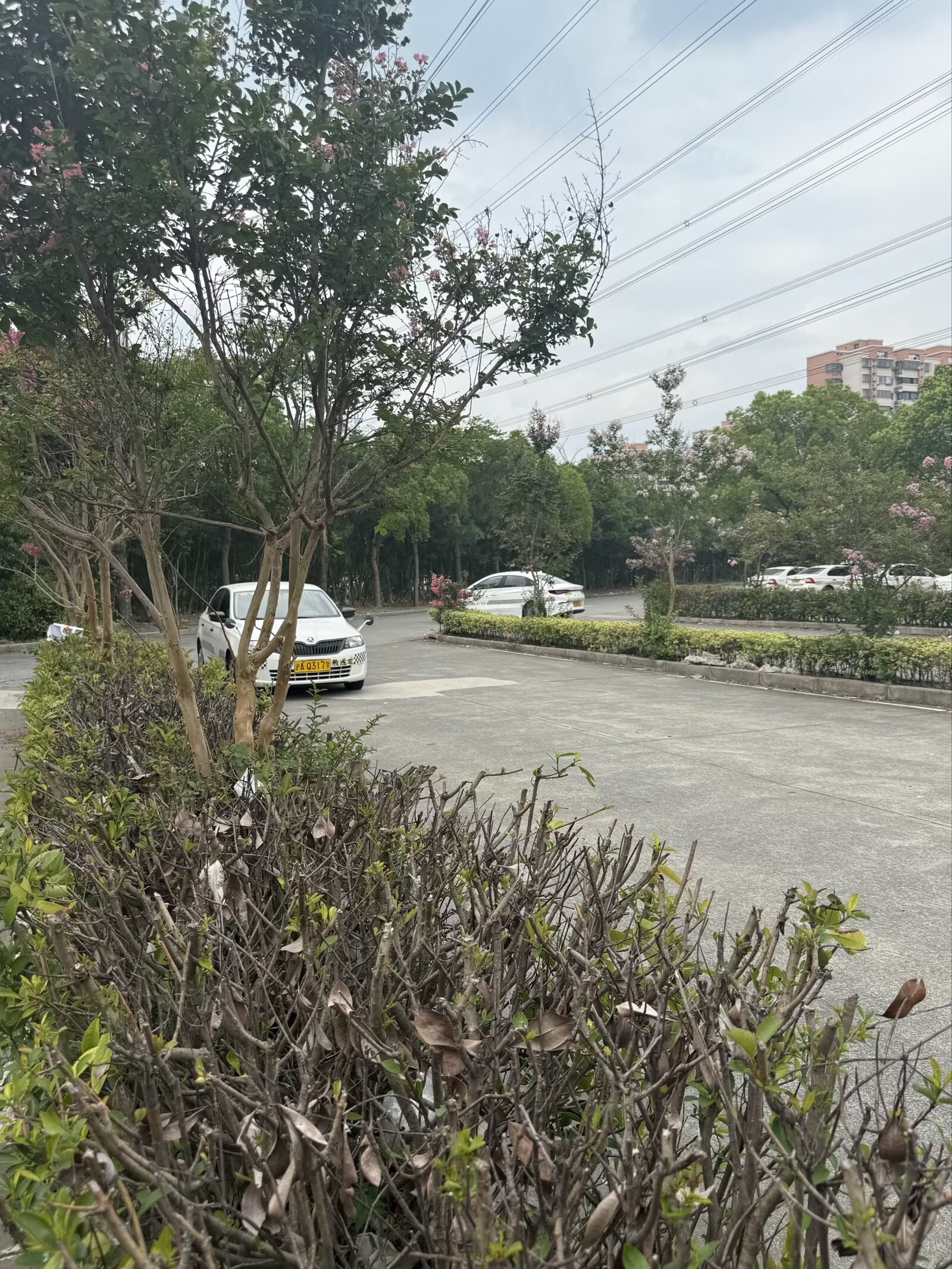 训练场地