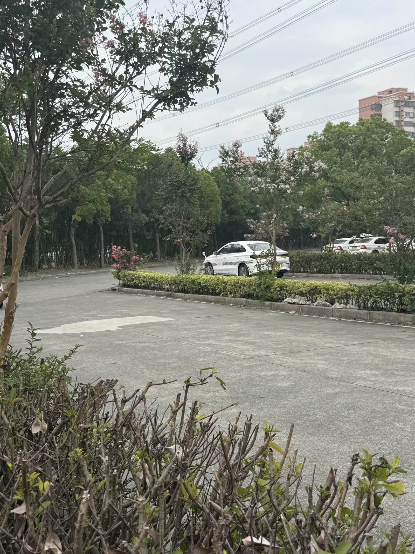 训练场地