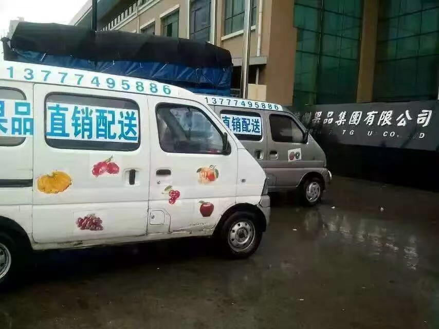 高效的物流与服务