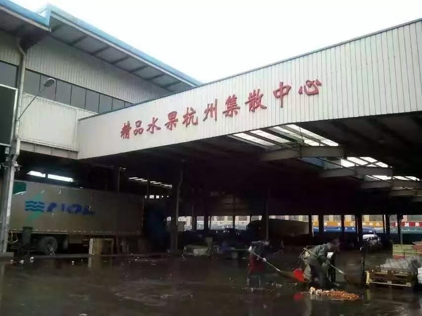 供应链与仓储物流实景